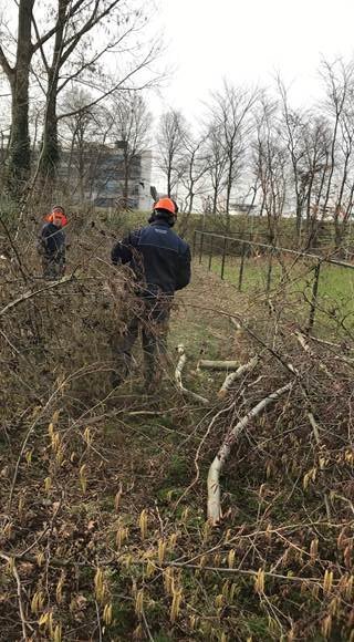 LLO groen en dier Motorkettingzagen 