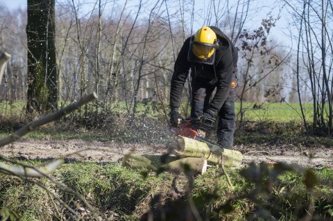 Motorkettingzagen liggend hout